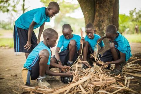 Five young boys gathered under a tree 